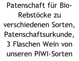Patenschaft für Bio-Rebstöcke zu verschiedenen Sorten, Patenschaftsurkunde,  3 Flaschen Wein von unseren PIWI-Sorten