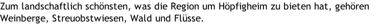 Zum landschaftlich schönsten, was die Region um Höpfigheim zu bieten hat, gehören Weinberge, Streuobstwiesen, Wald und Flüsse.